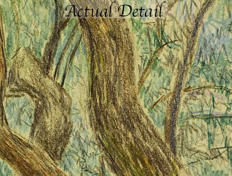 May include: A close-up of a pencil drawing of tree trunks and branches. The drawing is done in shades of brown, green, and yellow.