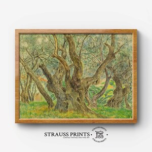 May include: A vintage art print of a painting depicting a grove of olive trees with gnarled trunks and branches. The trees are painted in shades of green, brown, and yellow, with a hint of blue in the background. The print is framed in a simple wooden frame.