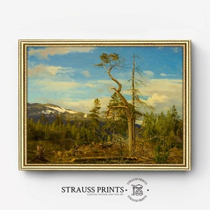 May include: A vintage painting of a forest scene with a tall, dead pine tree in the foreground. The sky is blue with white clouds and there are snow-capped mountains in the distance.