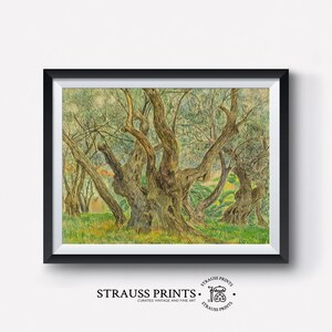 May include: A vintage watercolor painting of a grove of olive trees with gnarled branches and green leaves. The painting is framed in a black frame and has a white mat.