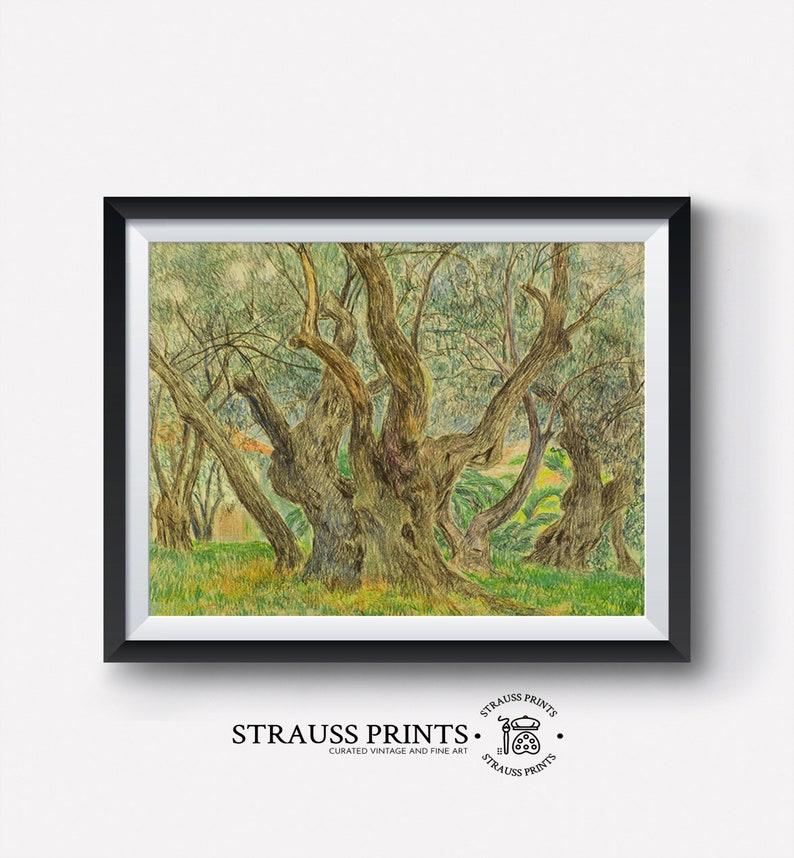 May include: A vintage watercolor painting of a grove of olive trees with gnarled branches and green leaves. The painting is framed in a black frame and has a white mat.