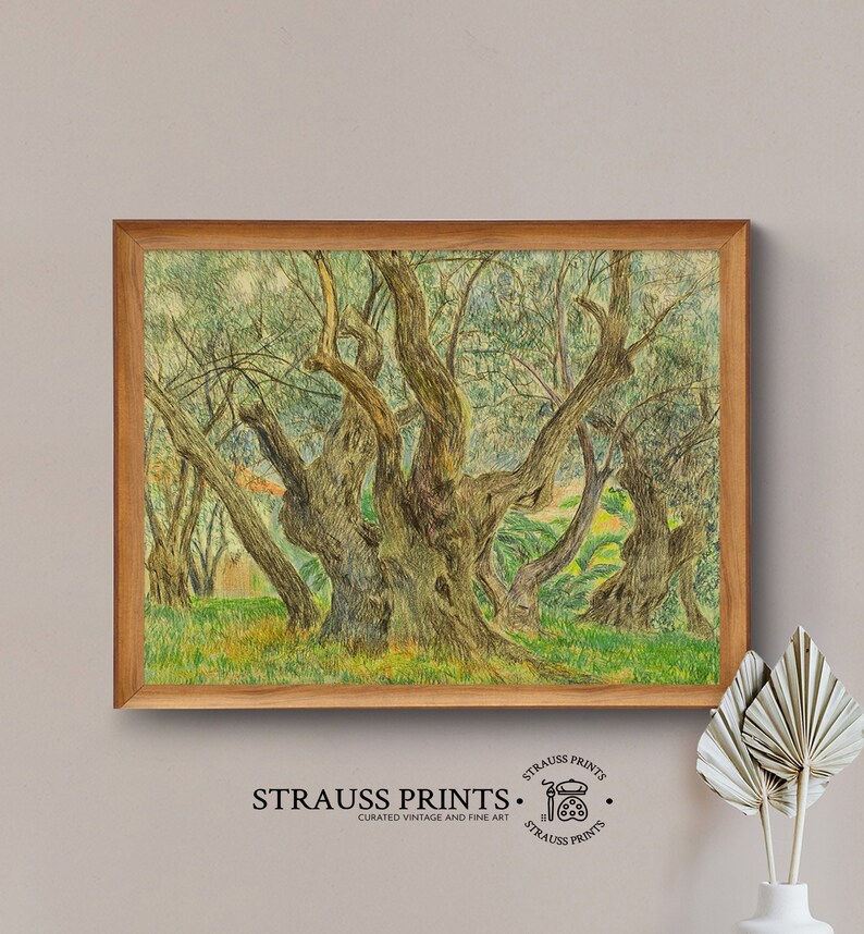 May include: A vintage art print of a detailed pencil drawing of a grove of olive trees with thick trunks and branches. The trees are drawn in shades of green, brown, and yellow, with a light blue background.