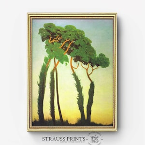 Evening sun on umbrella pines I Oil on Canvas I Tree | Painting I Portrait I Fine Art Print I Famous Artwork I Wall Art l Printable Download