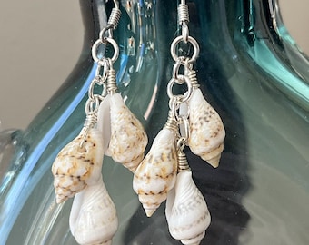 Seashell dangle earrings