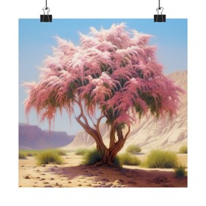 Matte Print: Tamarisk Shade - Spiritual Oasis Desert Tree Artwork, Biblical Abraham Inspired, Religious Home Decor, Tranquil Nature Wall Art