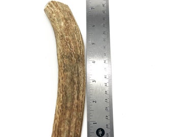 Medium Split Elk Antler Dog Chew Toy