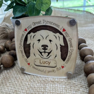 Dog Coaster | Pet Coaster