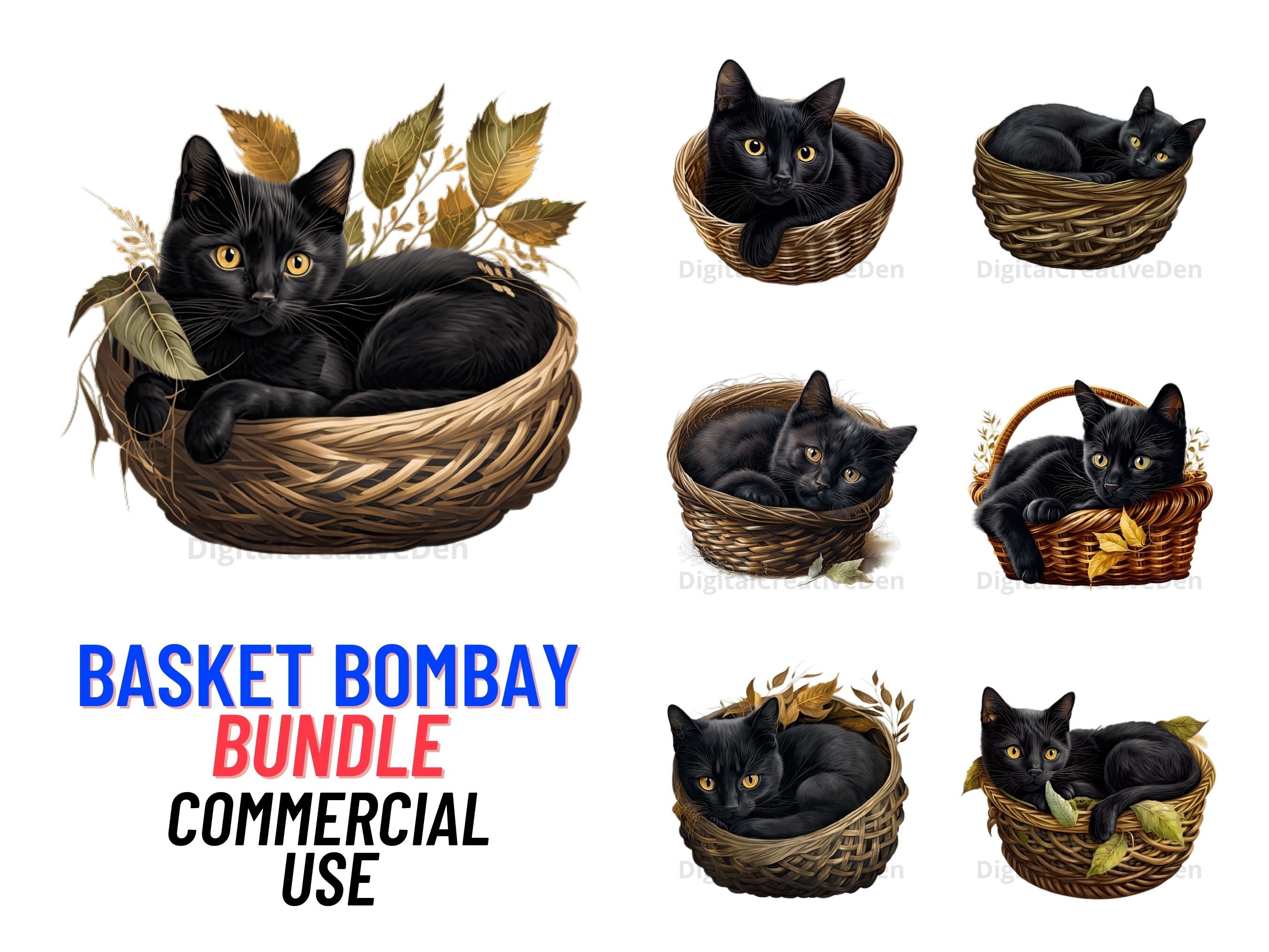 Basket Bombay Cat Png Set of 8 Clipart Commercial Use Black Etsy