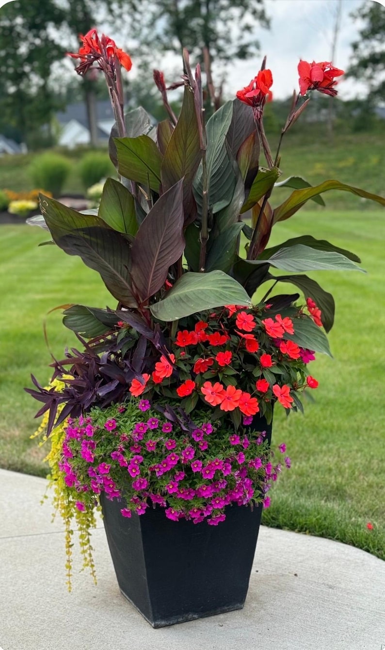 Custom Outdoor Planter Design Ideas - Etsy