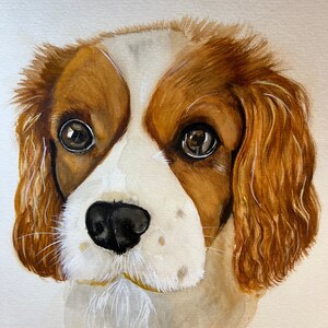 Dog portrait custom painting, custom pet portrait, dog portrait from photo, hand painted watercolour and acrylic portrait