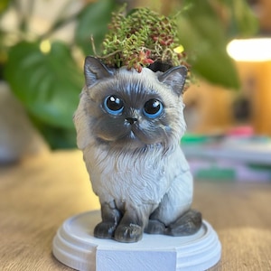 May include: A detailed cat-shaped planter with large blue eyes and a fluffy, light-colored coat. The cat holds a small succulent plant in its head. The planter sits on a white, round base, creating a charming decorative piece.