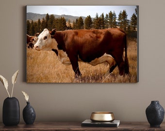 Cow Photograph Digital Download