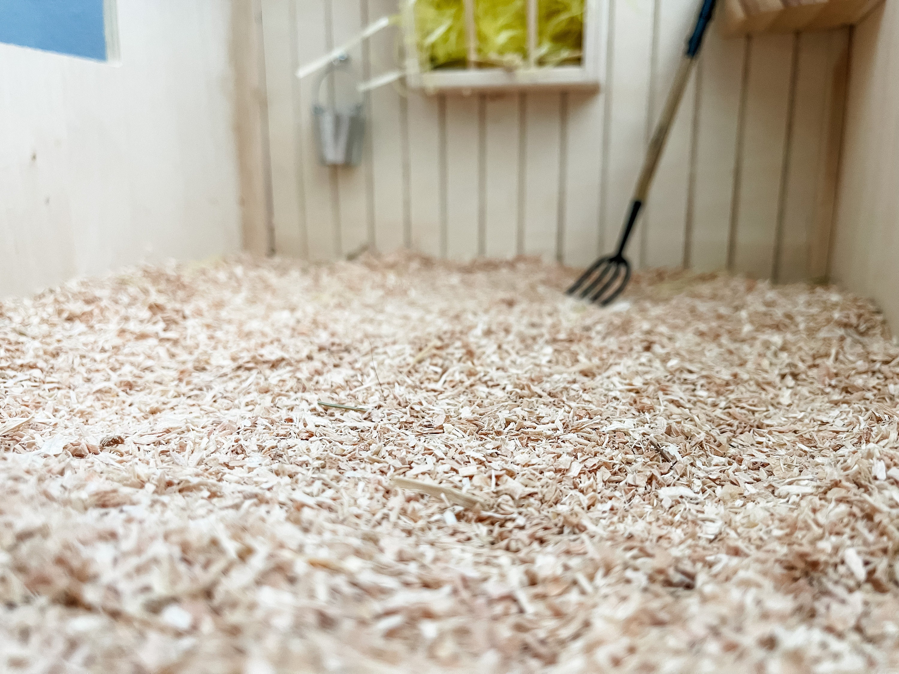 Sawdust for Your Breyer Horse Stall Includes Sawdust. Etsy