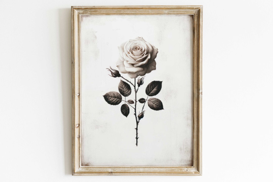 Rustic White Roses White Rose Painting, Rose Wall Art, Rustic Floral Decor, Black & White ...