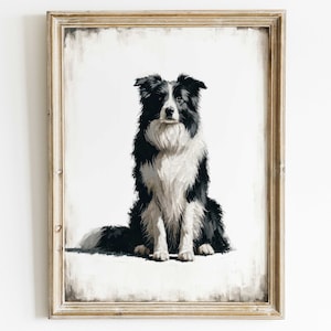 May include: A black and white border collie dog sitting in a rustic wooden frame. The dog is looking directly at the viewer with a serious expression.