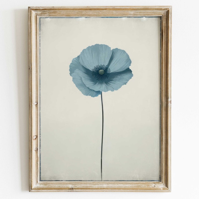 Himalayan Blue Poppy - Etsy