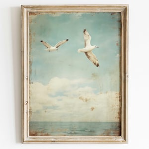 Puede incluir: Una impresi&oacute;n enmarcada de estilo vintage con dos gaviotas blancas volando contra un cielo azul con nubes blancas. El oc&eacute;ano es visible en la parte inferior de la imagen.