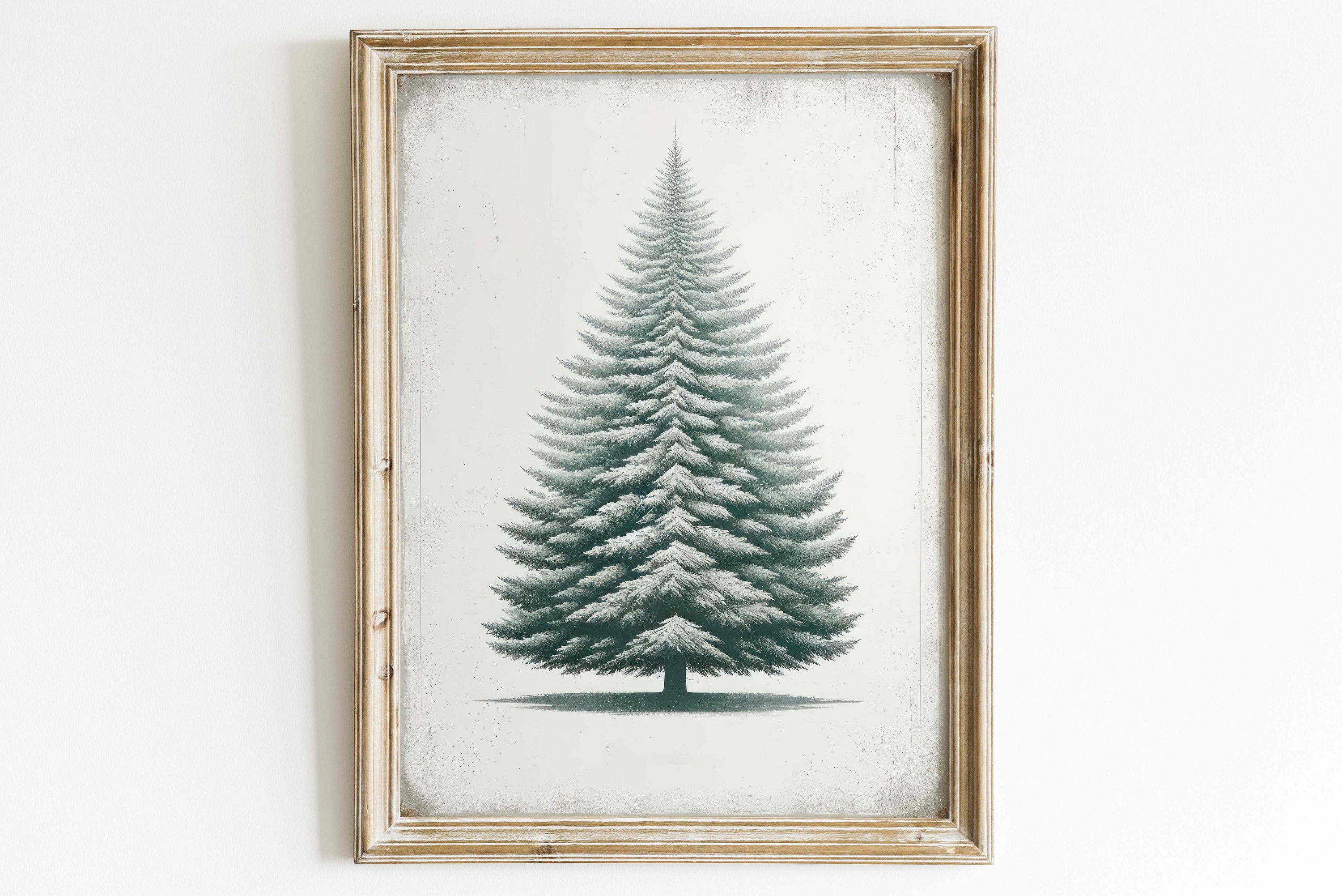 Fir Tree Art, Vintage Minimalist Nature Print, Christmas Wall Art, Rustic Home Decor, Spruce Tree Art for Wall, Printable Xmas Wall Art