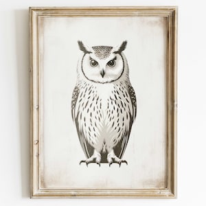 Owl Wall Art, Owl Nursery Decor, Vintage Owl Painting, Forest Animal Print, Bird Wall Decor, Owl Kids RoomDecor, Printable Owl Wall Decor