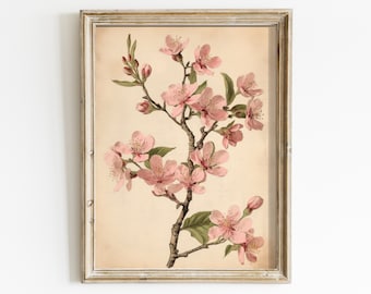 Vintage Cherry Blossom Wall Art, Pink Floral Wall Decor, French Farmhouse Style, Digital Printable Art