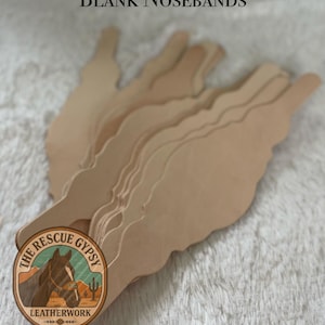 Blank nose bands, make your own tack, bronc halter, horse tack