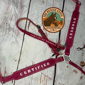 Pode incluir: Um conjunto de arreios de cavalo em couro rosa com as palavras "CERTIFIED ASSHOLE" e "CERTIFIED" em letras brancas. O conjunto inclui um peitoral, rédeas e um cabresto. Um logotipo circular com um cavalo também é visível.