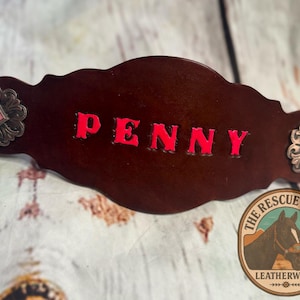 カスタムネーム入りレザーホースノーズバンド：手作り馬具