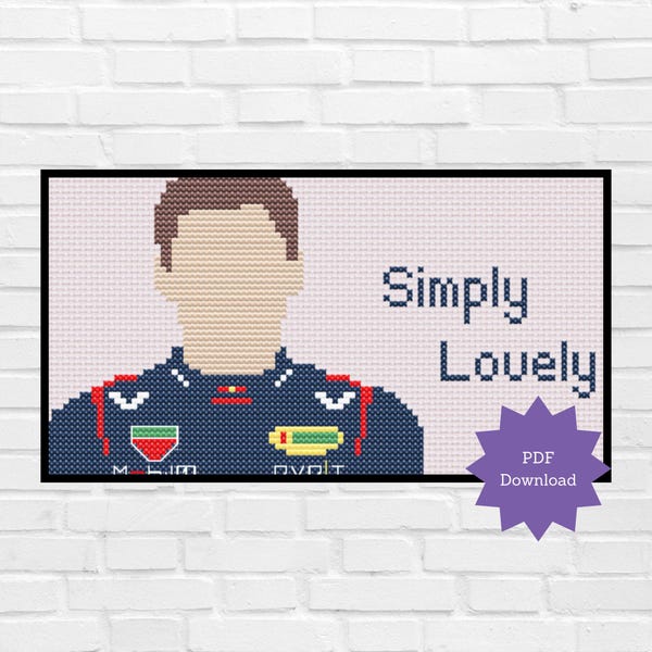 Formula 1 Cross Stitch Pattern, Max Verstappen, Red Bull F1, Instant PDF Printable Download