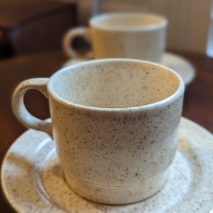 Homer Laughlin Pair of Cup and Saucer