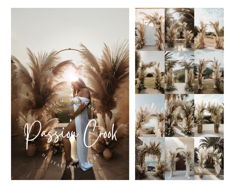 Boho Pampas Grass Backdrop Digital Download Photo Tan Outdoor Etsy