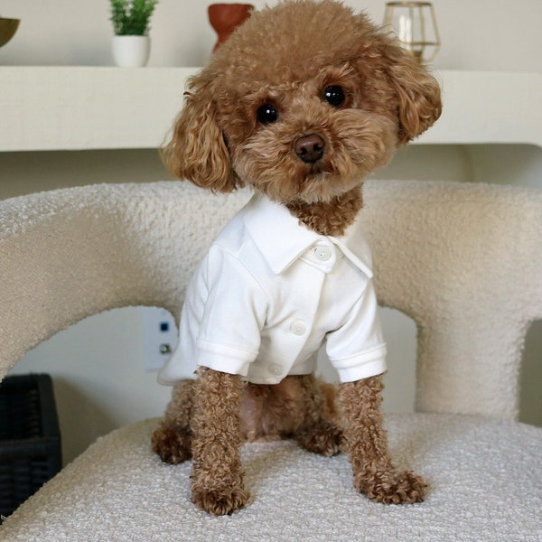 White Denim Button Down Shirt for Small to Medium Sized Dogs