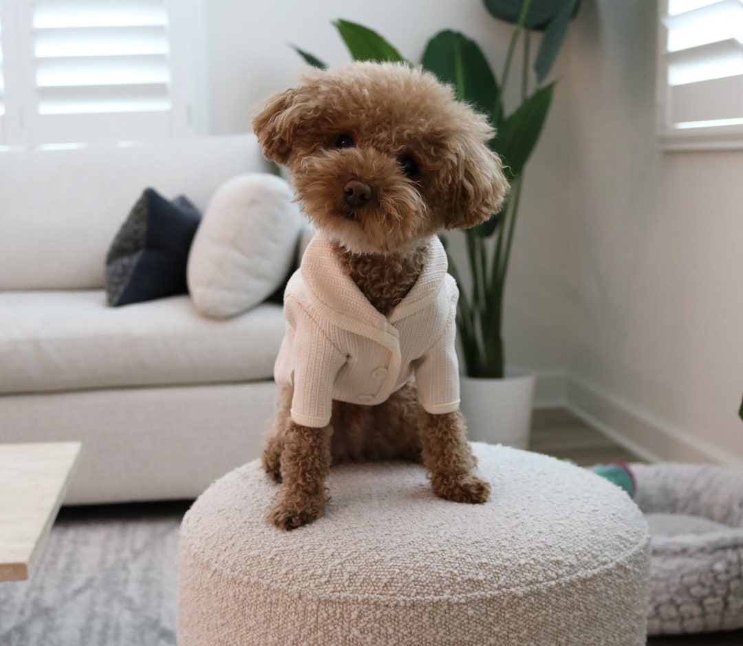 Tinycottons Dogs Cardigan, Medium grey heather main image 1