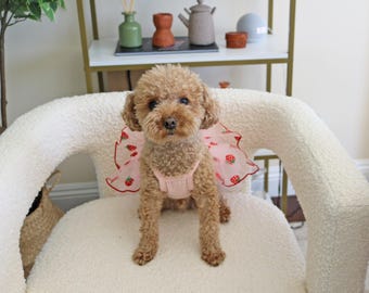 May include: A small brown dog wearing a pink and white strawberry patterned dress sits on a white fluffy chair.
