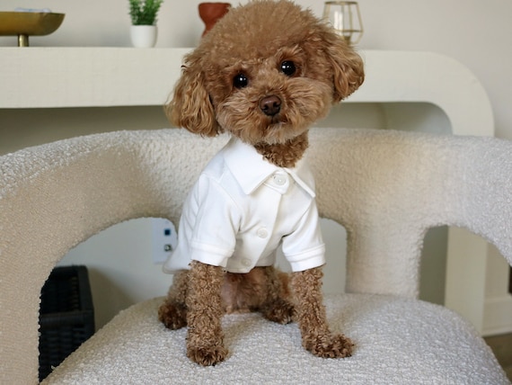 dog dress shirt collar Designer Dress Collar Shirt for Dogs
