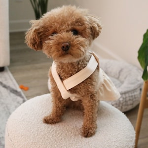 Dog Overall Dress with adjustable straps in Oat for Small to Medium Sized Dogs