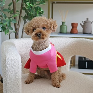 Traditional Korean Hanbok Dress for Small to Medium Sized Dogs