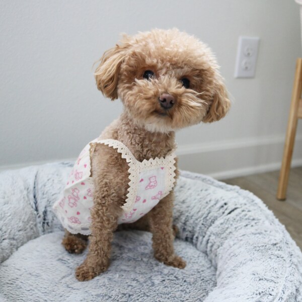 Pink Bear Print Linen Sleeveless Shirt for Small to Medium Sized Dogs