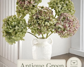 Real Dried Hydrangea Stems , Antique Green( Green / Pink) , Bunch of 5 Stems, Boho Bouquet , Crafts, Ships Carefully! Free Shipping!