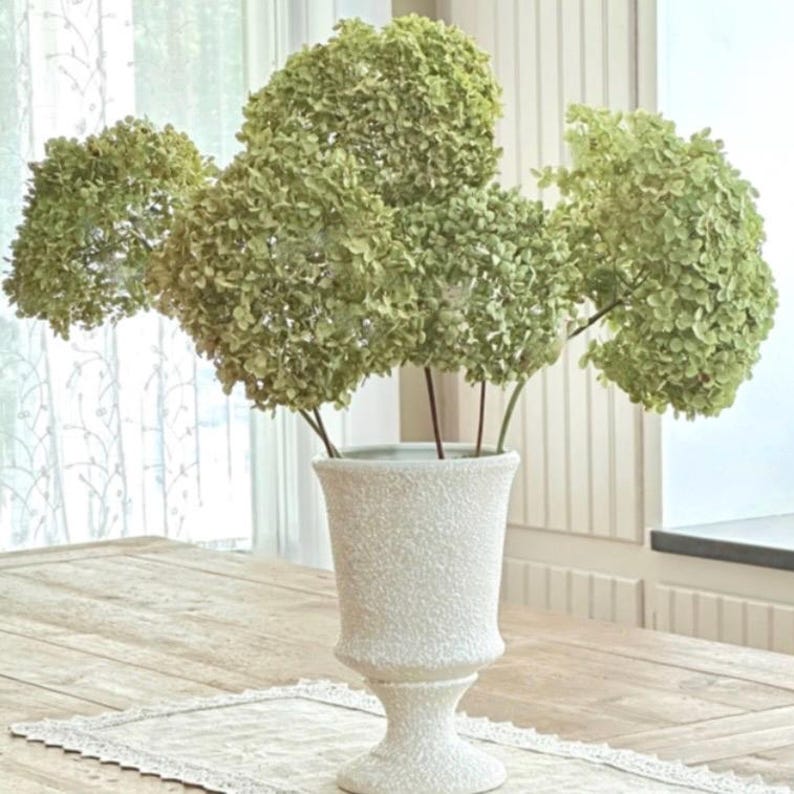 Dried Hydrangea Bunch (5 stems) link: https://www.etsy.com/listing/4367114165/dried-hydrangea-bunch-of-five-stems