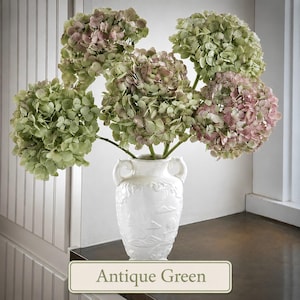 Echte gedroogde hortensiastelen, antiek groen (groen/roze), bosje van 5 stelen, boho boeket, handwerk, zorgvuldig verpakt en verzonden! Gratis verzending!