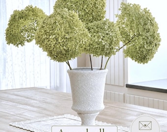 Real Dried Hydrangea Stems , Antique Green (Green / Pink) , Bunch of 5 Stems, Boho Bouquet , Crafts, Ships Carefully! Free Shipping!