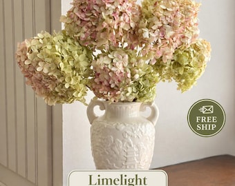 Tallos de hortensias secas naturales, verde antiguo (verde/rosa), decoración otoñal, ramo bohemio, artesanías, ¡envío cuidadoso! ¡Envío gratis!