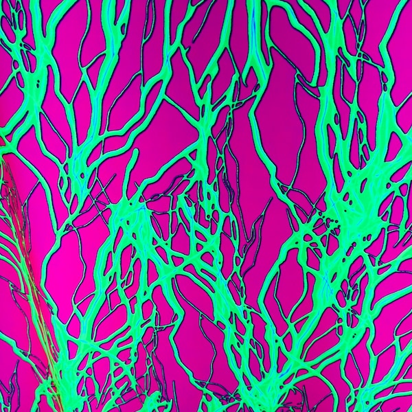 Thunder Lightning bolt design Neon pink/Lime it glows under black light best quality of nylon spandex 4-way stretch 58/60”
