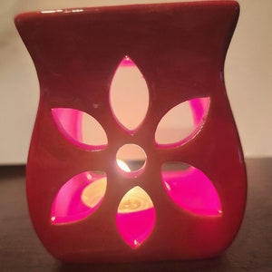 Wax Melt Starter Kit: Floral Warmer, Scent of the Month