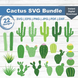 Kaktus SVG Bundle, Kaktus-Svg-Dateien für Cricut oder Silhouette, niedliche Kaktus ClipArt, Kaktus Clipart für den Druck
