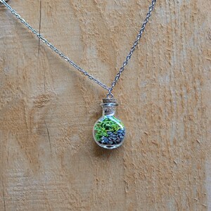 Terrarium Necklace - Stainless Steel Chain - Multiple Shape Options~