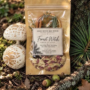 May include: A clear, resealable pouch containing a Forest Witch simmer pot blend with dried orange slices, cinnamon sticks, and herbs. The label reads: Good Witch Bad Witch, Forest Witch, Simmer Pot Blend, Piney, woody, herbal, and Intention.