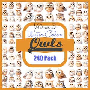 Adorable Owl, Transparent Background, Cute Owl Png, Watercolor Owl , Owl clipart, Owl PNG, Owl art, Owl , Owl digital, Animal, Volume 3.