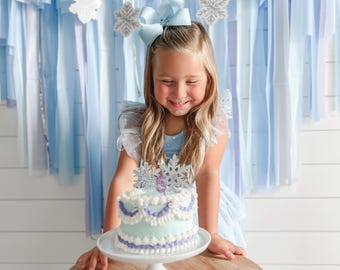 Birthday Party backdrop fringes/Elsa Party/Frozen/Princess Party/Streamers
