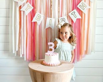 Birthday Party backdrop fringes/streamers/baby shower/bachelorette party